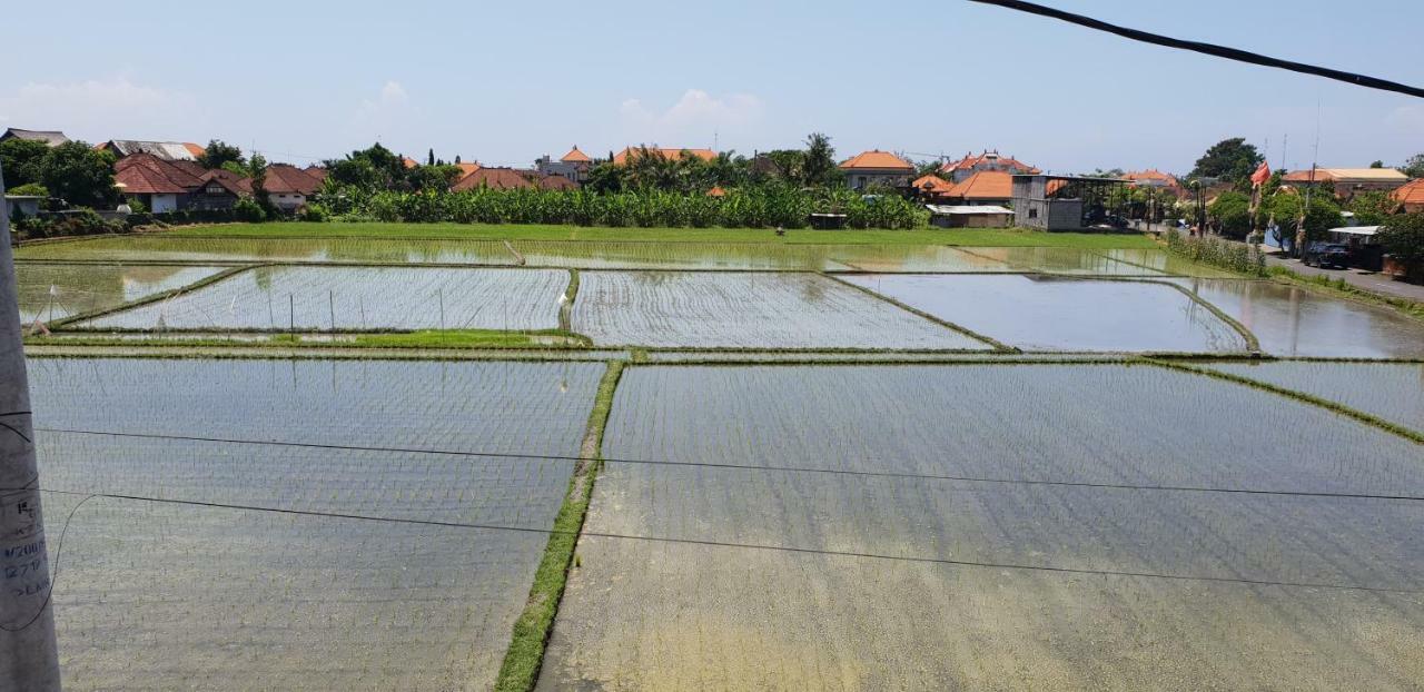 Sun Homestay Canggu ภายนอก รูปภาพ
