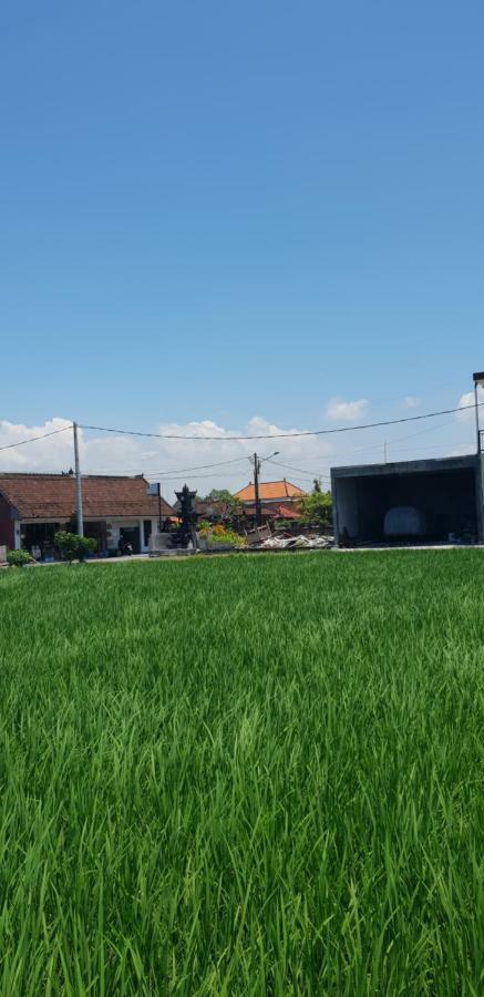 Sun Homestay Canggu ภายนอก รูปภาพ